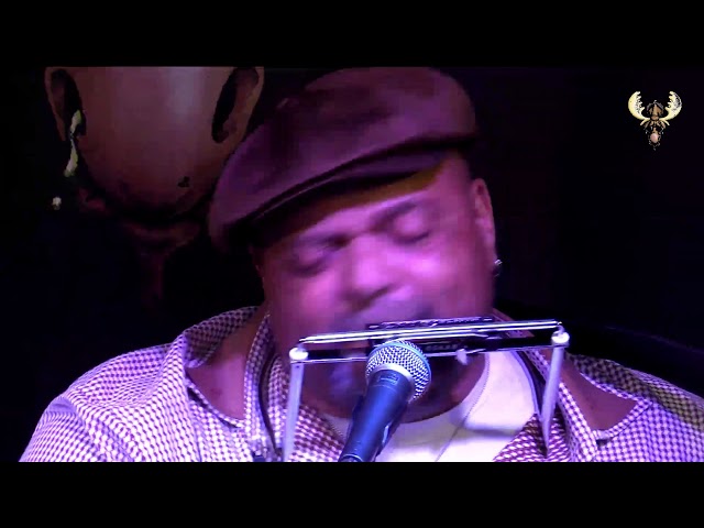 Kevin Burt - All along the Watchtower - Live for bluesmoose radio