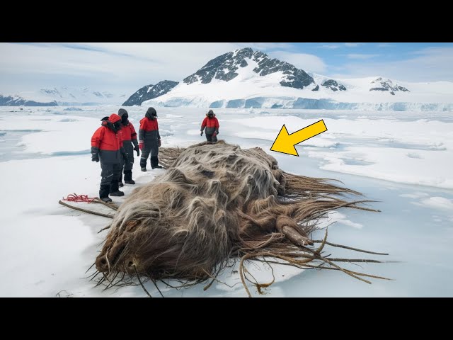 Scientists Stunned By Alaska Discovery—It Could Change The World