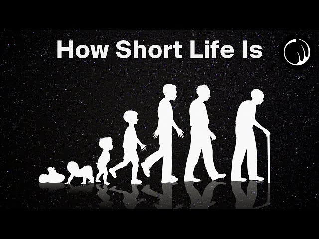 Life Is Not Short; We Just Waste Most of It - The Philosophy of Seneca