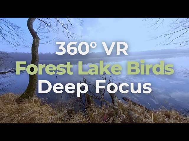 Forest Lake Birds •  360° VR Nature Ambience
