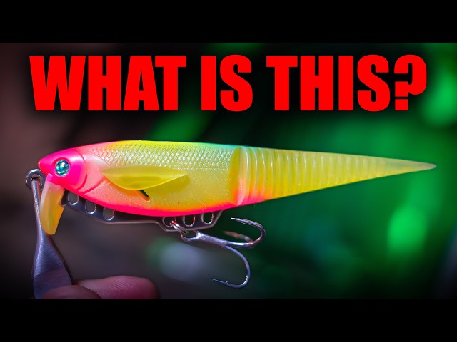 An Importer Told Me the Next JDM Lure Trend