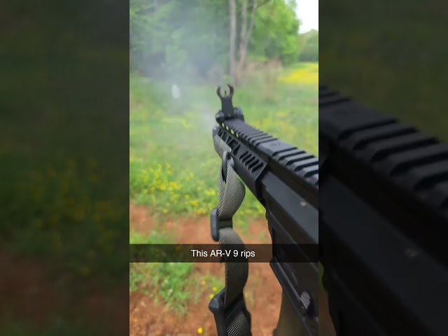 Palmetto State Armory AR-V 9mm