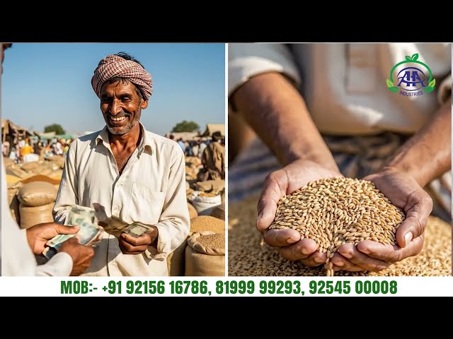 सही मशीन से किसानों का हजारों रुपये का नुकसान Profit में बदल सकता है #agroasianindustries #farming