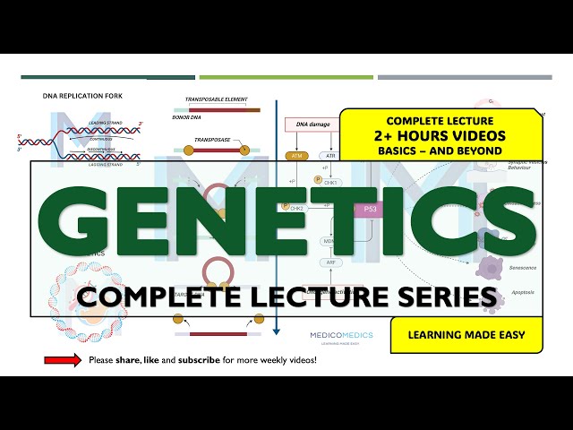 Genetics Full Course | 13 High-Yield Chapters