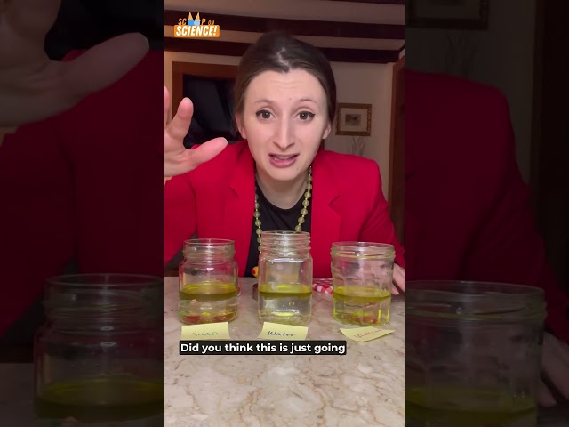 Try this easy science experiment at home! #shorts #scienceexperiment #kidsvideo #science #experiment