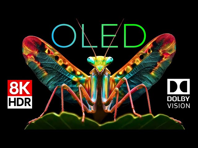 World of Insects OLED Demo HDR 8K Ultra HD Dolby Vision™ 60fps