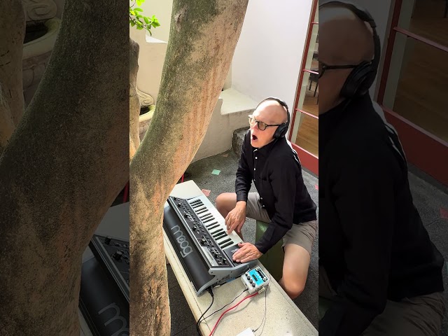 Moog Little Phatty & EHX Looper: Funny Faces & Gestures