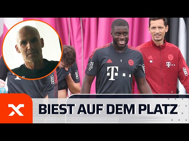 "Er hat die Gegner förmlich aufgefressen" - Ex-Liefering-Trainer Thomas Letsch im Interview