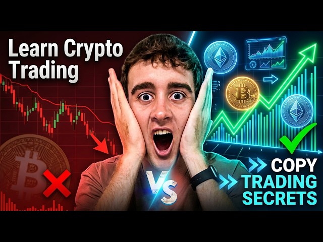 Best Copy Trading Platform ? How to Learn Crypto Trading (BitMEX Review 2026)