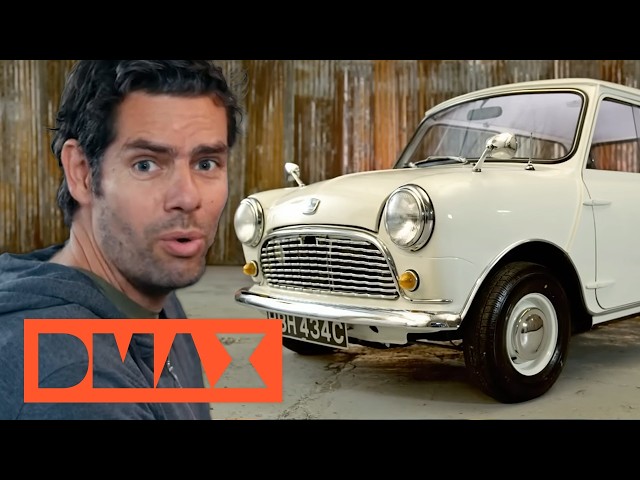 Fiat, Mini & TVR: So werden alte Autos zu PS-Monstern! 🚗🔥 | COMPILATION | Die Gebrauchtwagen-Profis