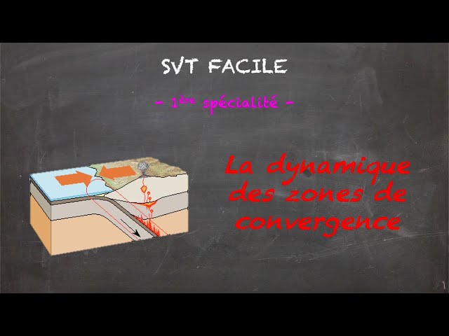 SVT FACILE - 1ère spé. - La dynamique des zones de convergence