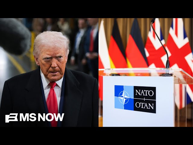 ‘NATO alliance effectively destroyed’: Trump threatens allies over Iran war