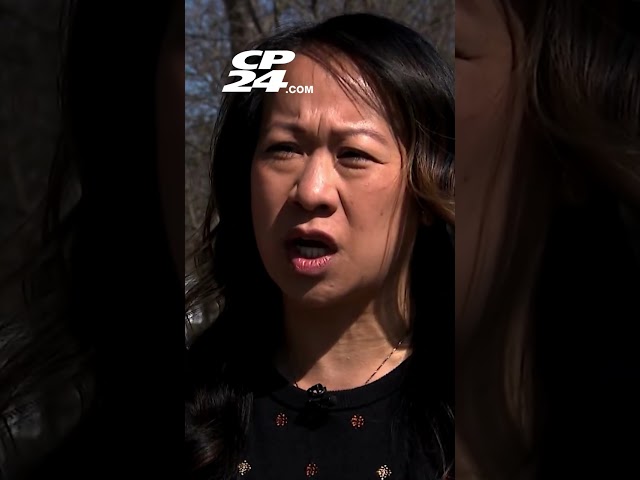 Some Toronto residents turn to private security amid rising crime