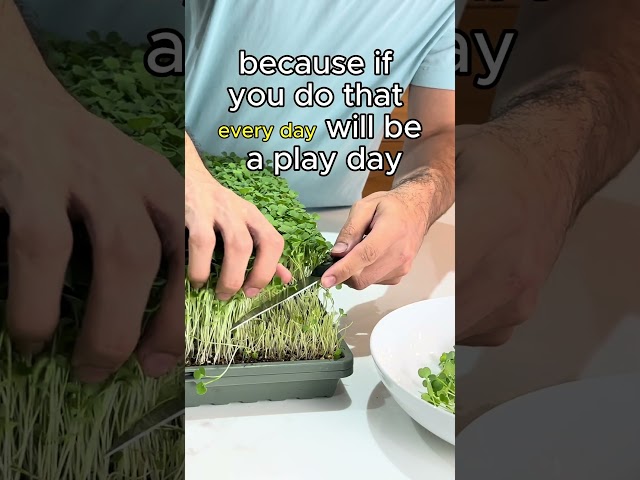 Microgreens Changed My Life ⬇️