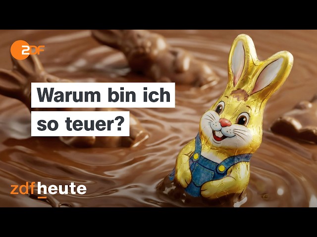 €8.99 for an Easter bunny: Why the chocolate is so expensive