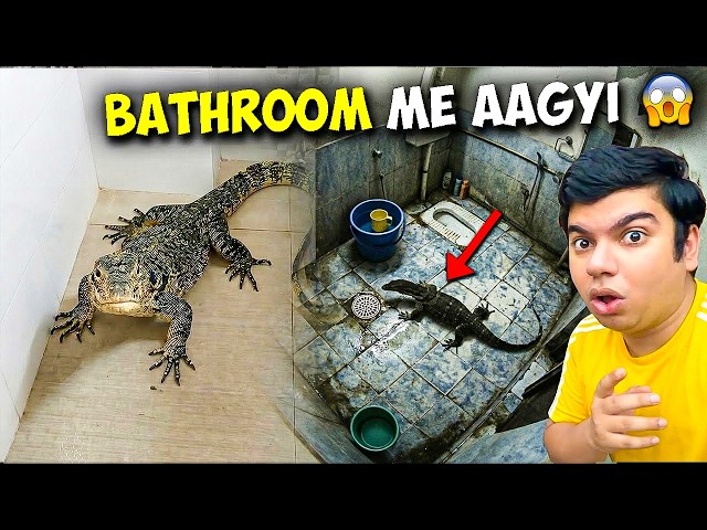 Big Chipkali Bathroom Me Ghuss Gayi 😱 | बाथरूम में खतरनाक छिपकली 🚨 परिवार डर गया 😨 | SW Pet