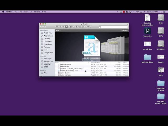 Computer Lit: Trash can on a Mac