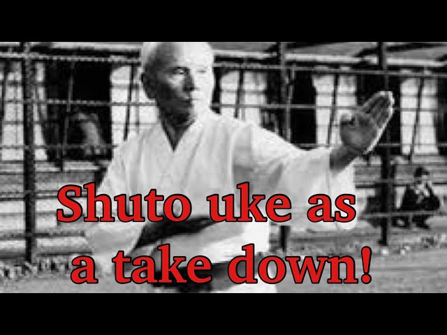 Shuto uke bunkai.  @davidskaratetips.7306