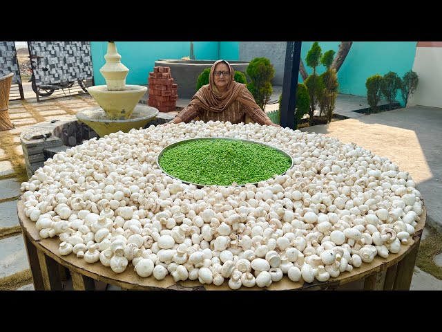 100KG MUSHROOM MASALA || Easy and Quick Mushroom Recipe || Veg Village Food