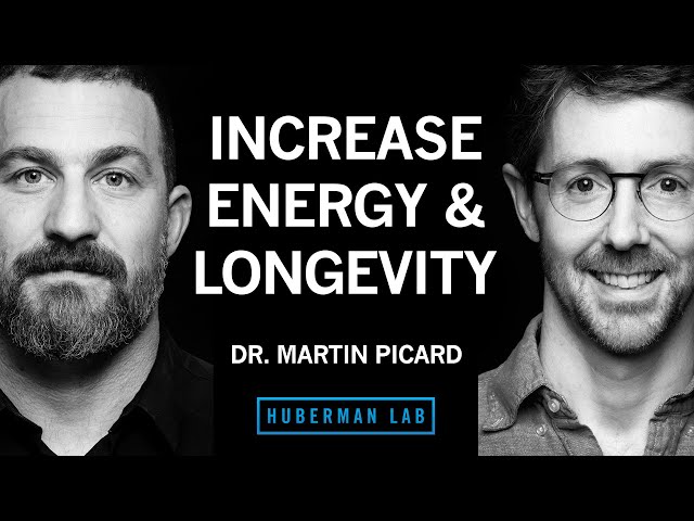 Improve Energy & Longevity by Optimizing Mitochondria | Dr. Martin Picard