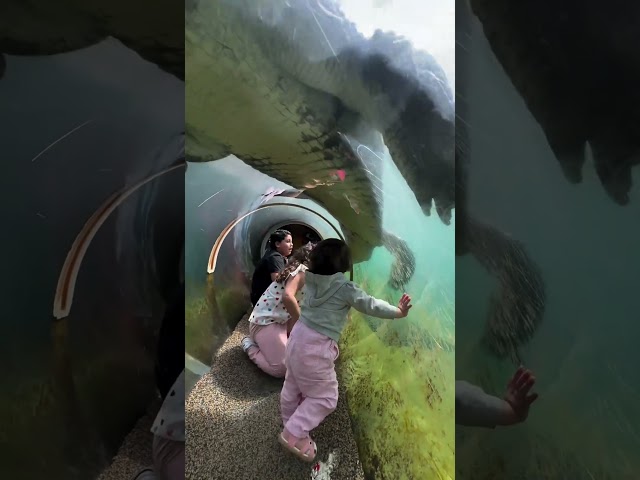 Those one ☝️ #adventure #travel #explore #nature