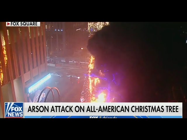 Fox News blames the left for their tree burning down