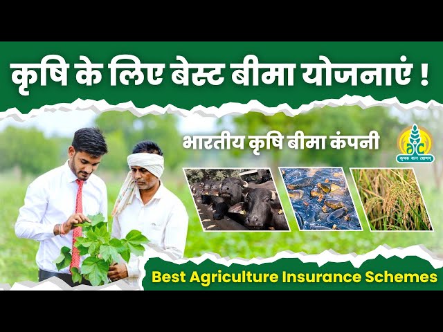 किसानों के लिए बेस्ट बीमा योजनाएं | Best Agriculture Insurance Schemes  #cropinsurance