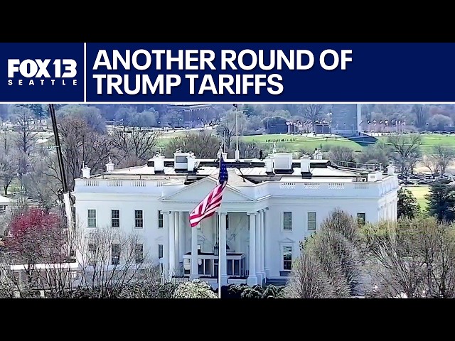 Trump plans new tariffs on steel, aluminum amid criticism | FOX 13 Seattle