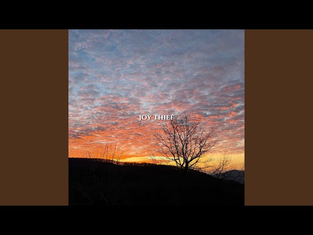 Joy Thief
