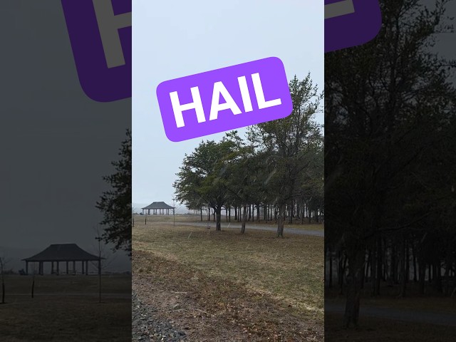 Canadian Hailstorm Starts to Hurt #shorts #spring #story