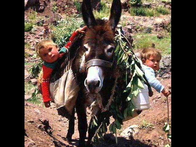 SiYaRoJ-AmeD21 CaNDa ♫ Te GüLek BıÇaNDa ♫♥♪.♫♥♪.♪♫♥ Kürtçe  Damar 2oı4