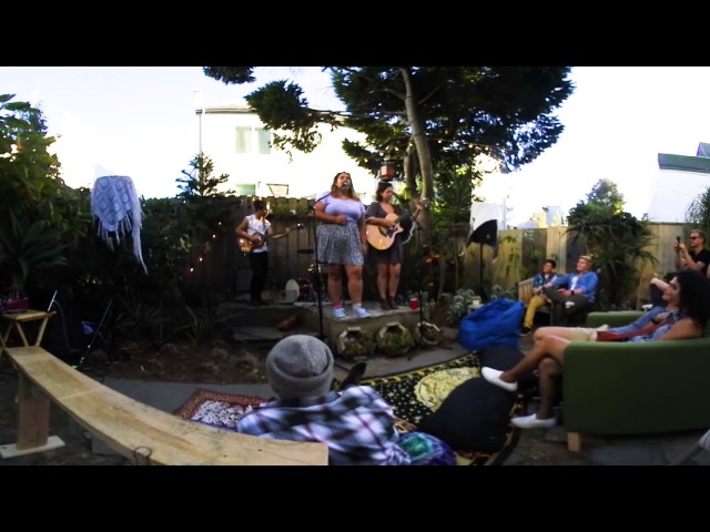 King Willow at Garden Party in San Francisco