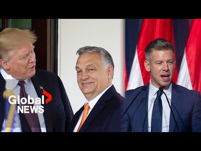 Hungary faces high-stakes election: Trump- and Putin-backed Orbán vs. conservative Péter Magyar