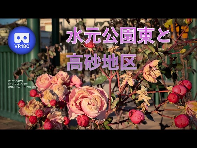 [3D VR180] 水元公園東と高砂地区