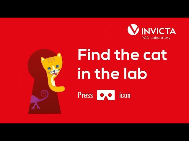 Find the cat in the lab