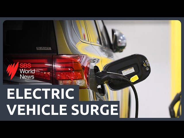 National EV sales hit a record high