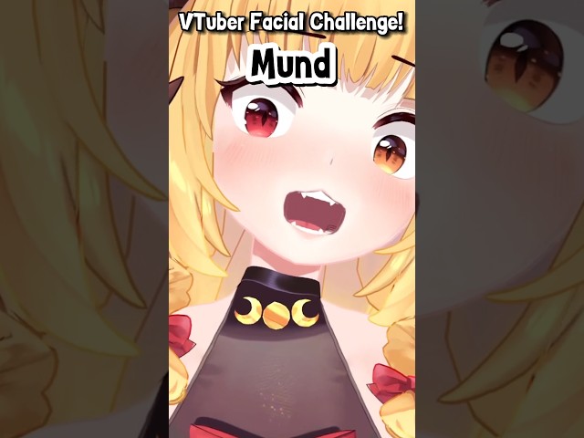 VTuber Face Challenge (auf DEUTSCH!)