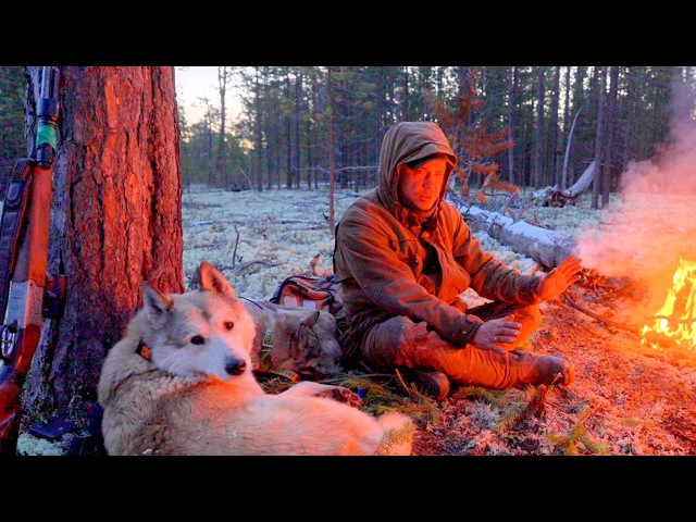 Живем в глуши, питаемся добытым мясом .
