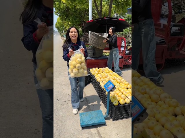 sweet fruit | Amazing delicious fruit farming by rural farmer #fruit #farming