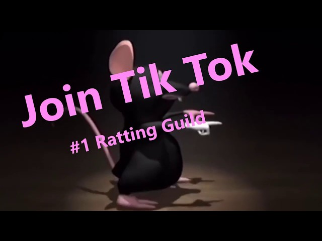 Albion Online - TikTok Gang