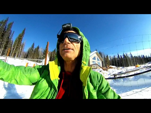 Kenji Yoshikawa Feeding Reindeer