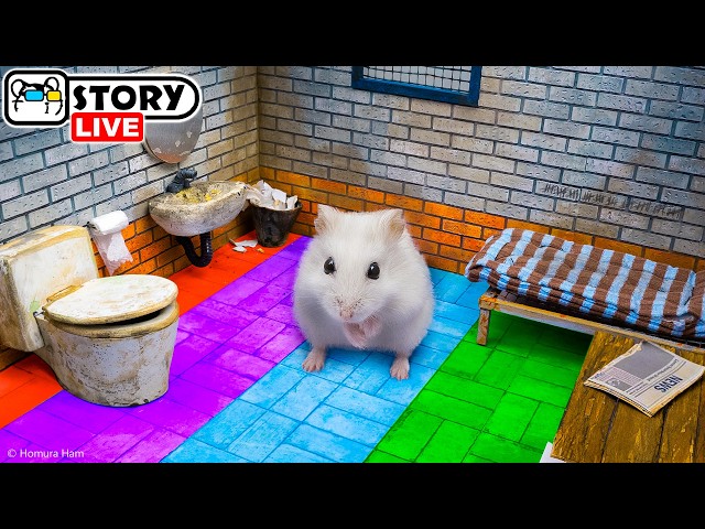 The World's Largest Hamster Maze 🐹 The Best Hamster Challenges 🐹 Homura Ham Pets