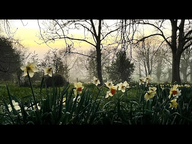 This video posted 2 weeks late. Twas the first sunny day in ages