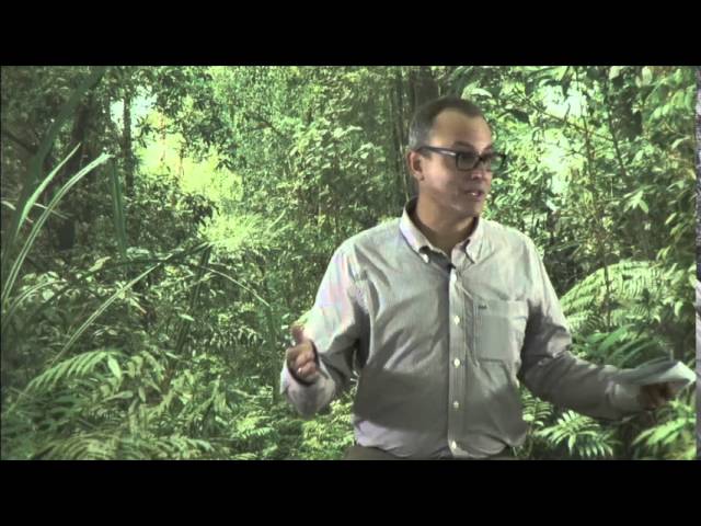 Louis Putzel - China and sustainability in global extractive industries