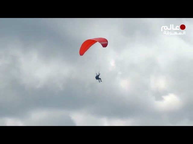 هذه السفينة وجدت نفسها في موقف محرج    لاكن ما حدث كان مدهشا  !!