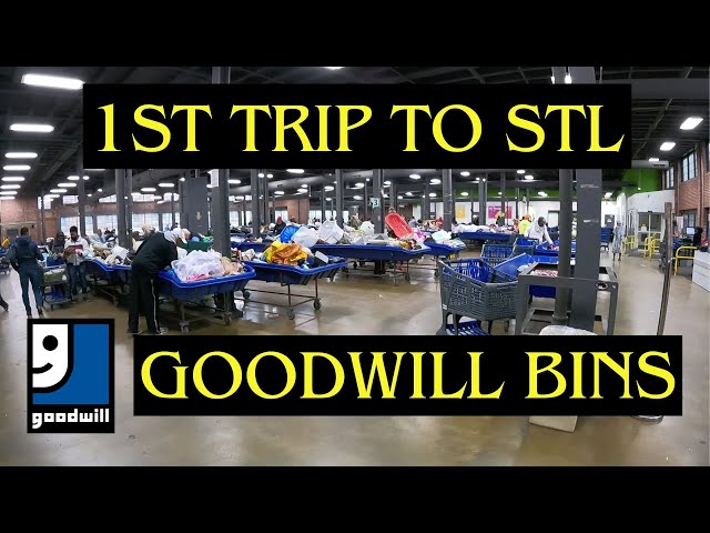 We found more than inventory at the St. Louis Goodwill Bins Store!