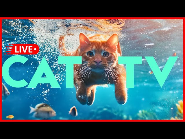 🔴 [LIVE] 24/7 CAT TV 🐠 Anxiety and Stress Relief Music forCats 🐱