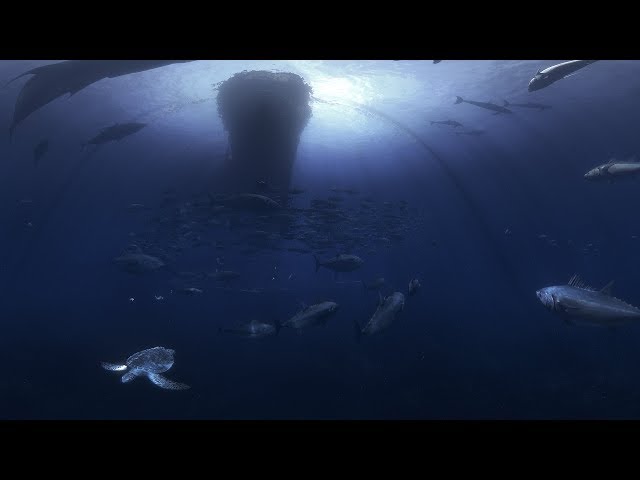 Underwater 360° CGI Sequence | Blue Economy