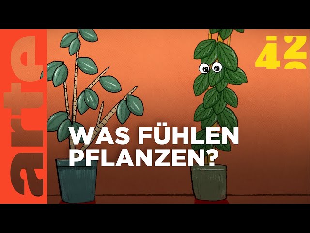 What is life like as a plant? | 42 - The answer to almost everything | ARTE