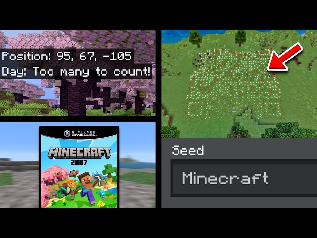 12 Minecraft Things That Only Pros Know